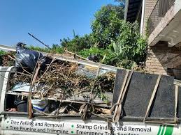 Shed Removal in Drexel, OH